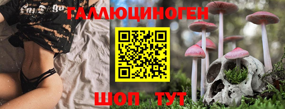 Галлюциногенные грибы ЛСД  Вход с VPN  Псилоцибиновые грибы GOLDEN TEACHER  Кропоткин 